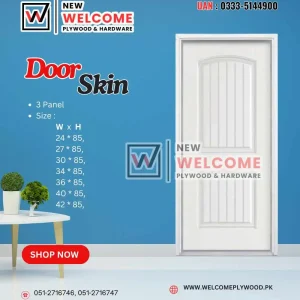 door Skin
